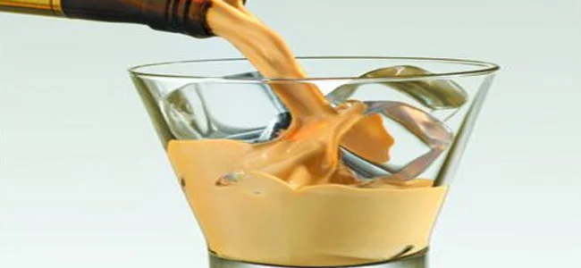 25 Receitas para o Ano Novo (Comidas de Réveillon) Amarula Caseira