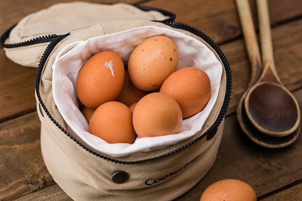 Ovos fazem bem para a saúde