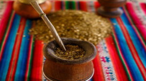 Conheça os diferentes tipos de erva mate e a sua forma de utilização em cada cultura Erva Mate e sua utilização