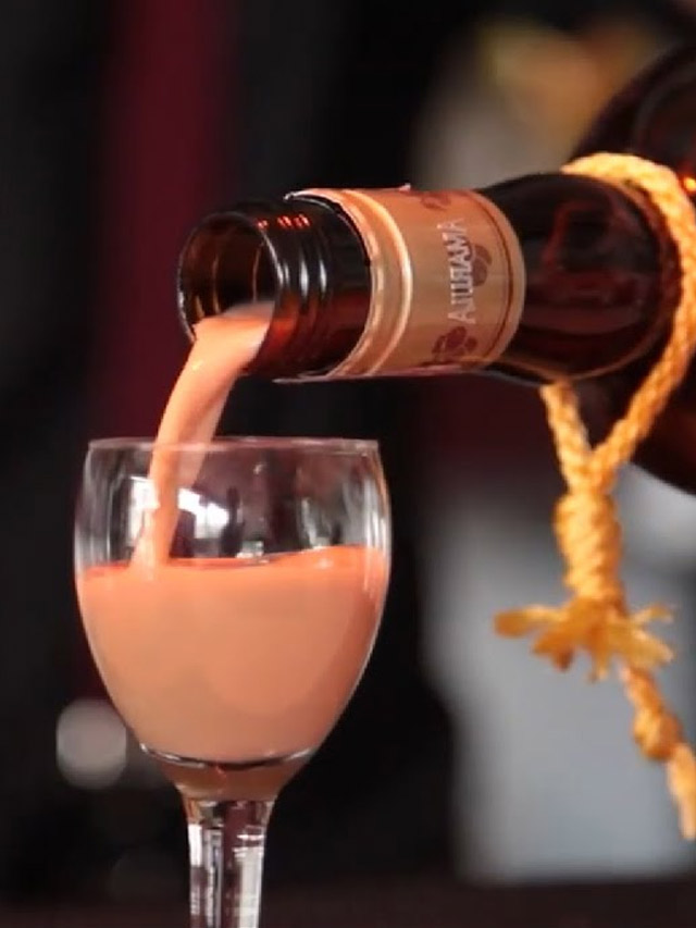 RECEITA DE AMARULA CASEIRA FÁCIL